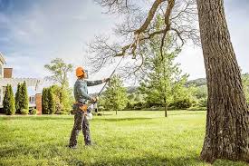 Best Organic Lawn Care Solutions  in Roslyn Heights, NY