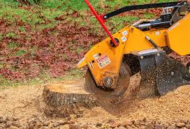 Best Tree Maintenance Programs  in Roslyn Heights, NY
