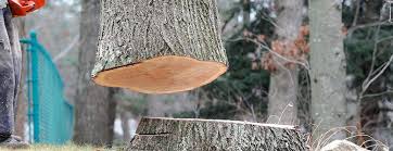 Best Arborist Consultation Services  in Roslyn Heights, NY