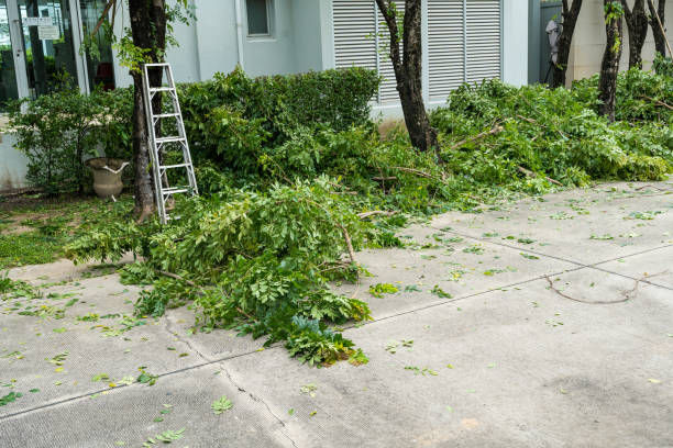 Mulching Services in Roslyn Heights, NY