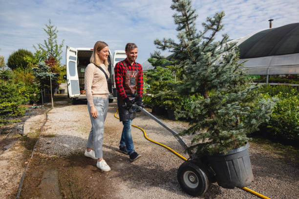 Best Tree Removal  in Roslyn Heights, NY