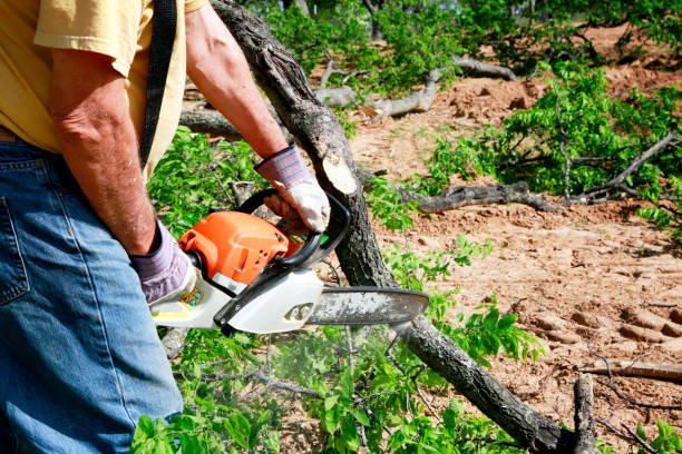 Best Lawn Watering Services  in Roslyn Heights, NY